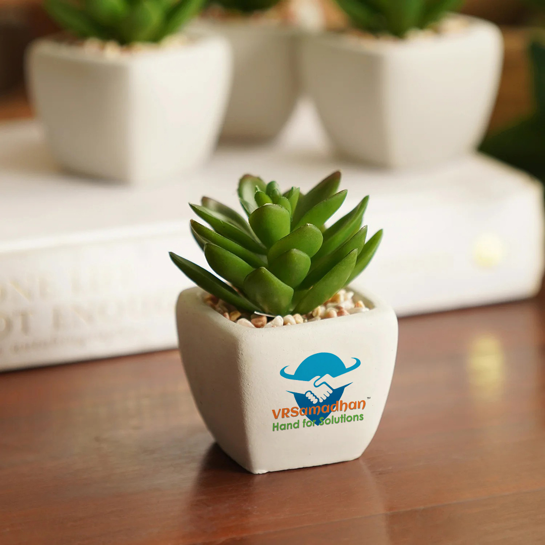 CORPORATE DESKTOP PLANTS